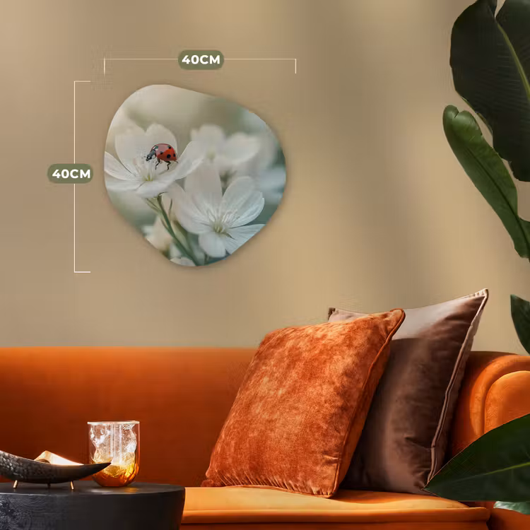 Organisch schilderij - Forex - Lieveheersbeestje - Bloemen - Wit — 4
