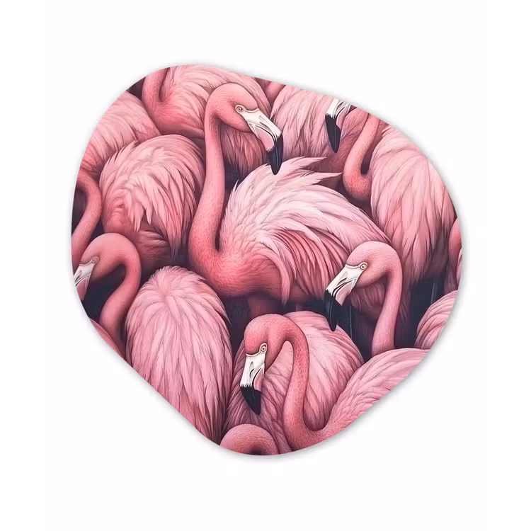 Organisch schilderij - Forex - Flamingo - Roze - Dieren — 1