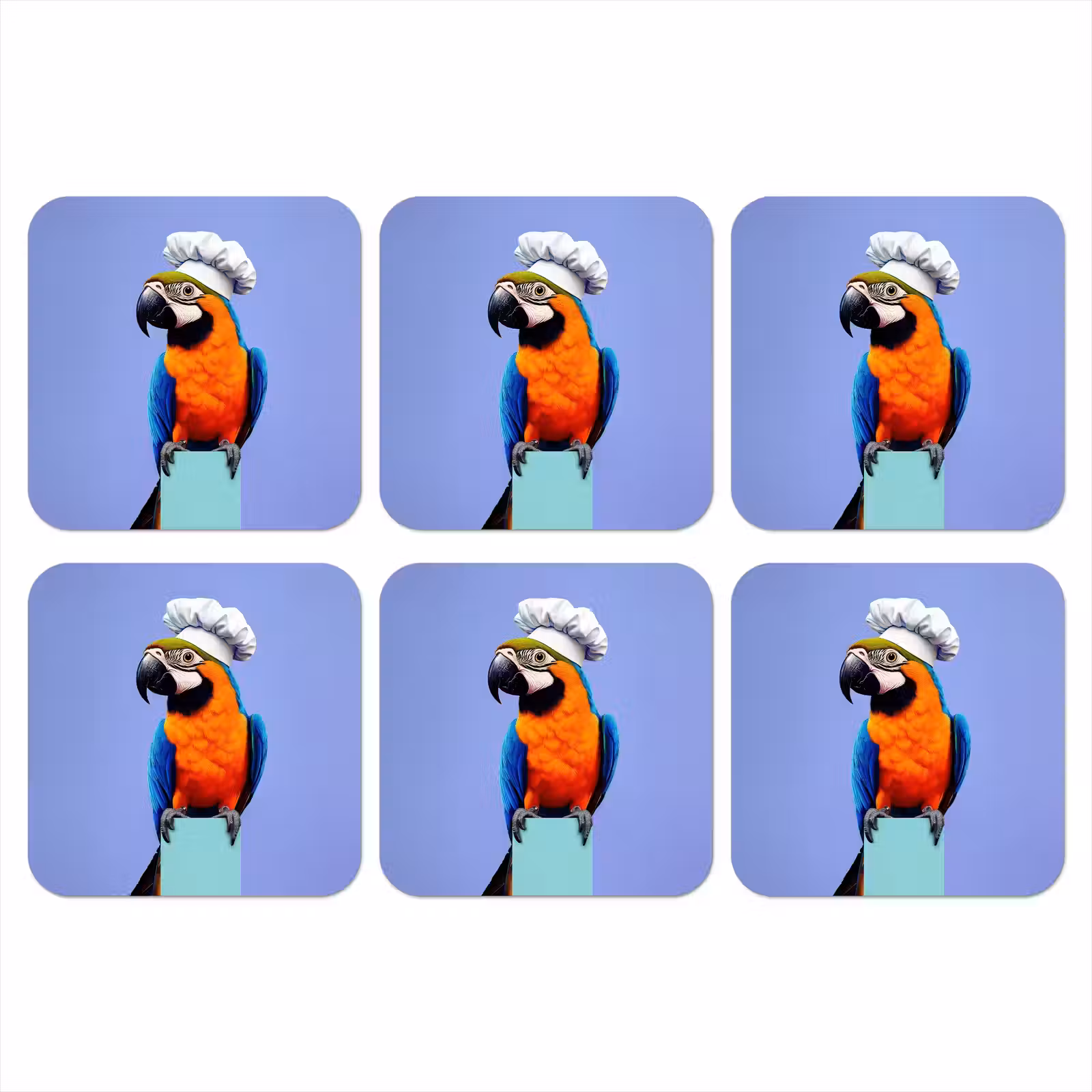 Onderzetter - Papegaai - Koksmuts - Vogel - Leuk — 1