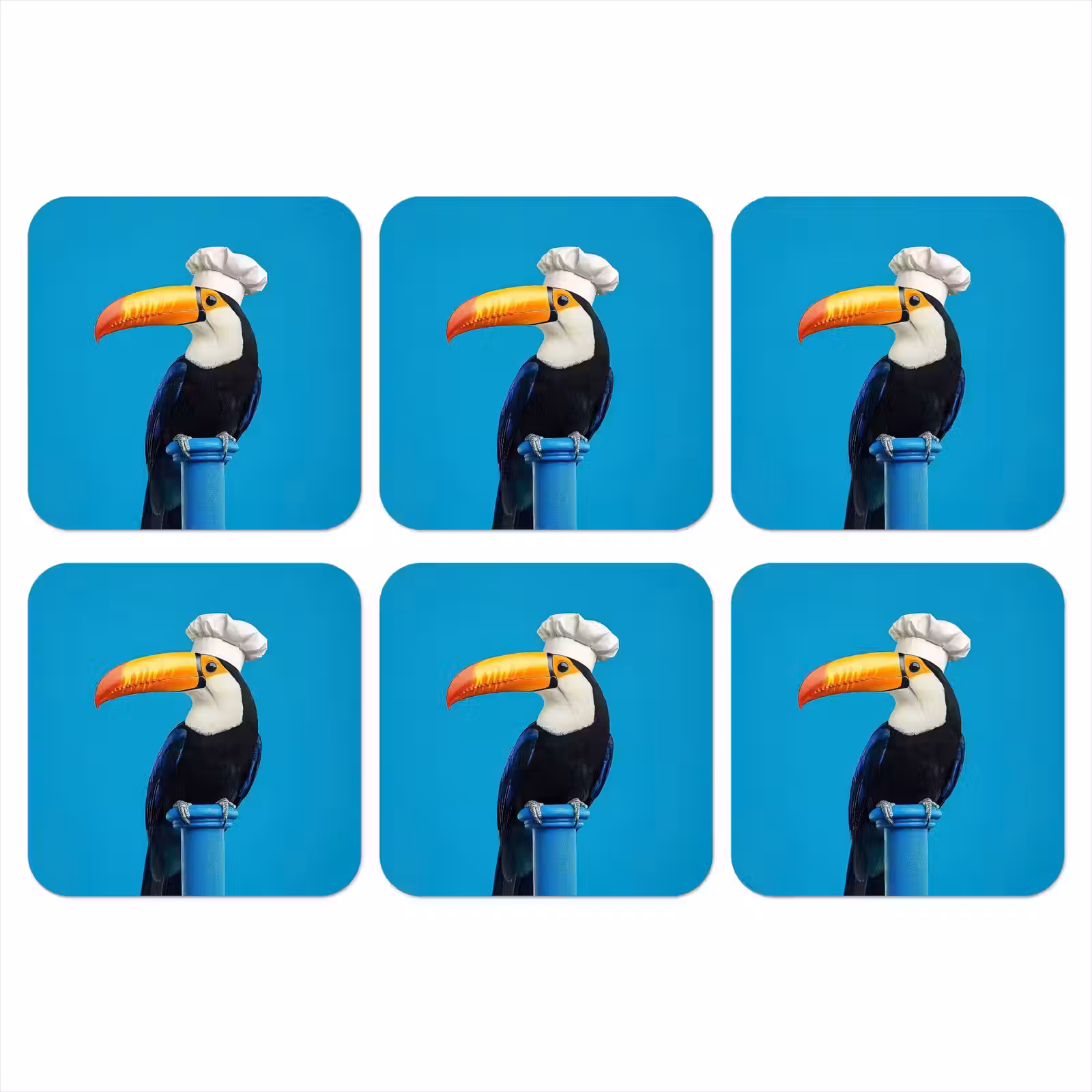 Onderzetter - Tucan - Sokkel - Vogel - Koksmuts — 1