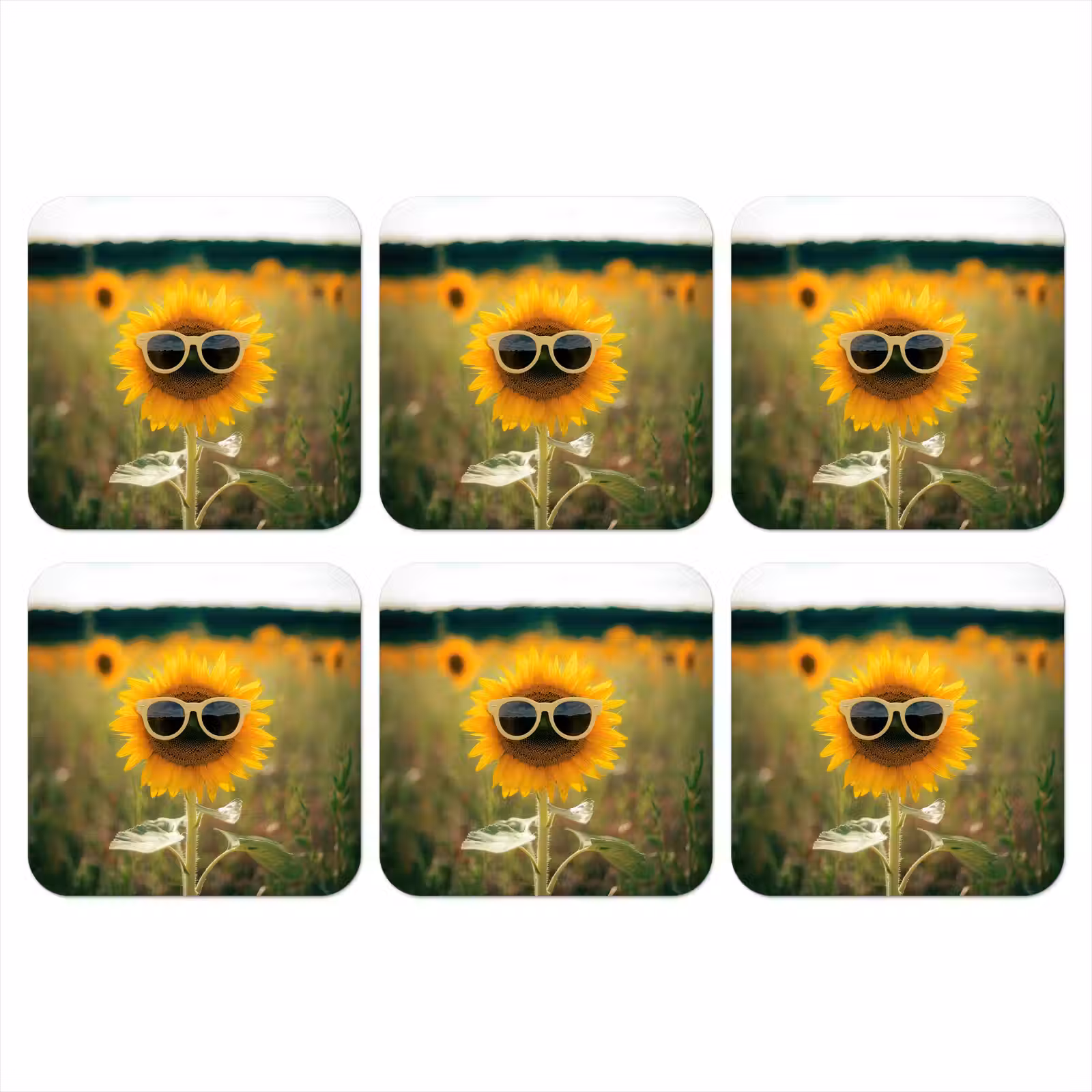 Onderzetter - Zonnebloem - Veld - Zonnebril — 1
