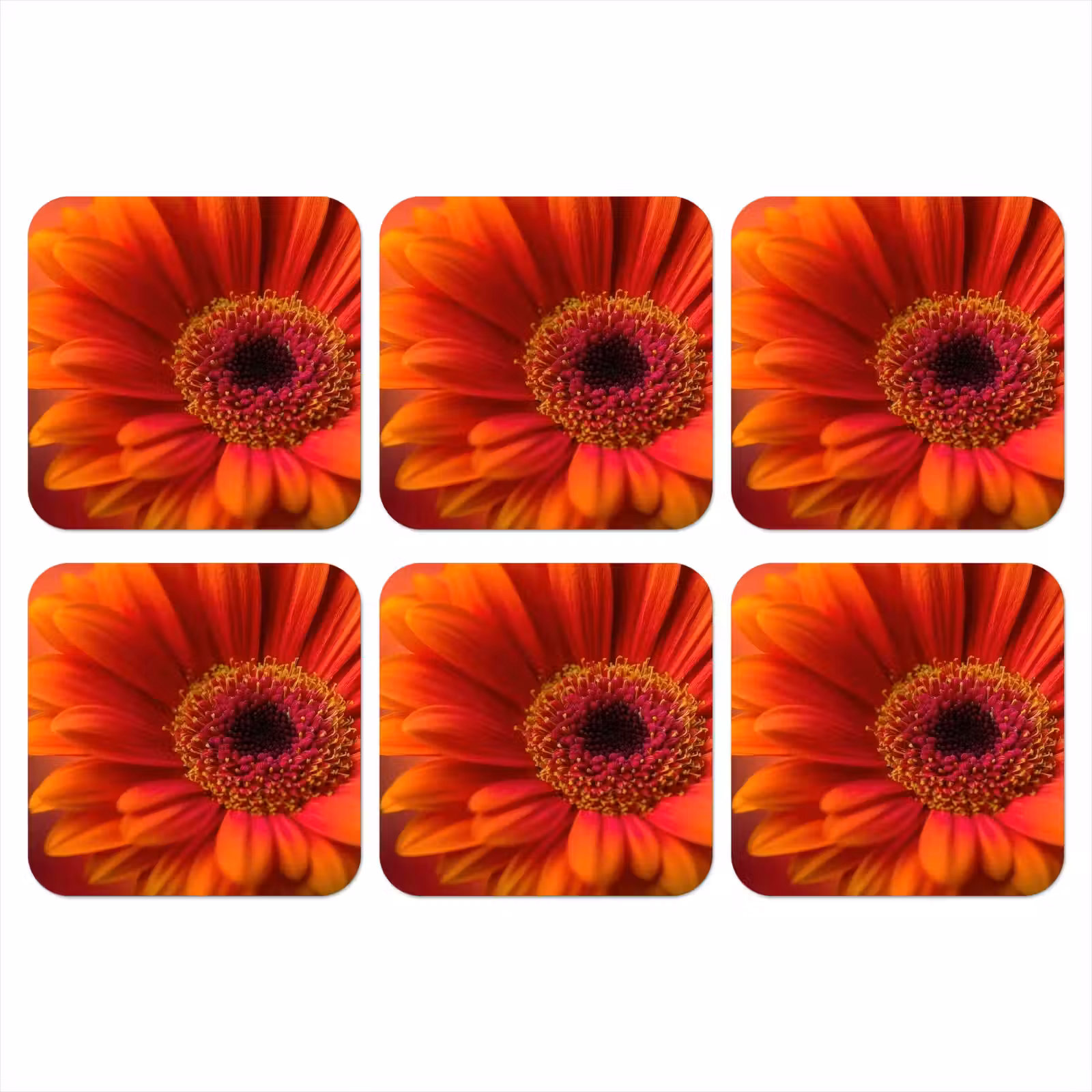Onderzetter - Oranje - Gerbera - Intens — 1