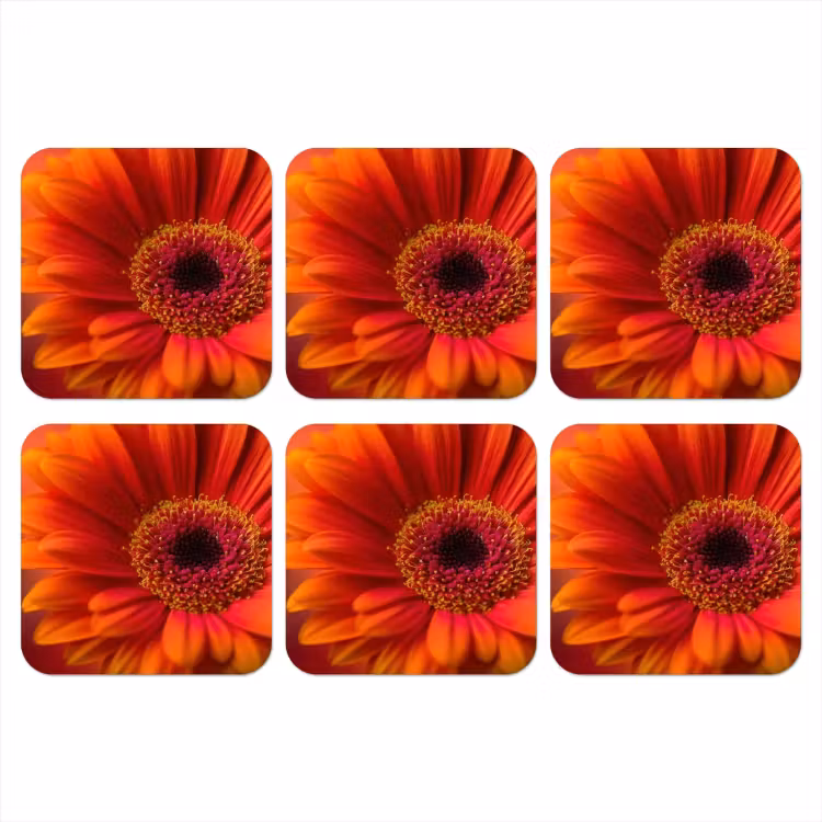 Onderzetter - Oranje - Gerbera - Intens — 1