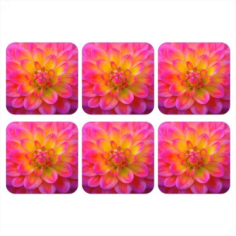 Onderzetter - Roze - Dahlia - Kleurrijk — 1