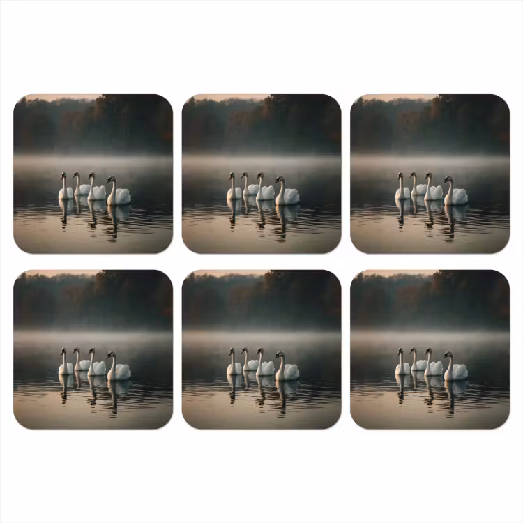 Onderzetter - Zwanen - Wit - Water - Mist — 1