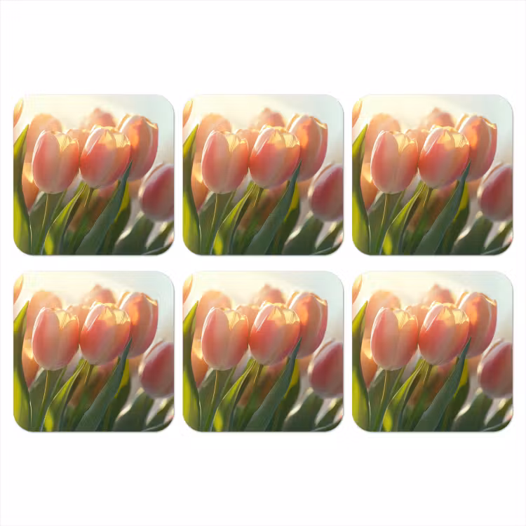 Onderzetter - Tulpen - Roze - Zonnestralen — 1