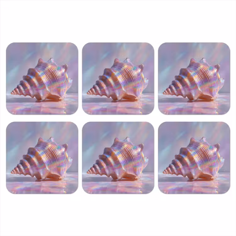 Onderzetter - Schelp - Glanzend - Regenboogtinten — 1