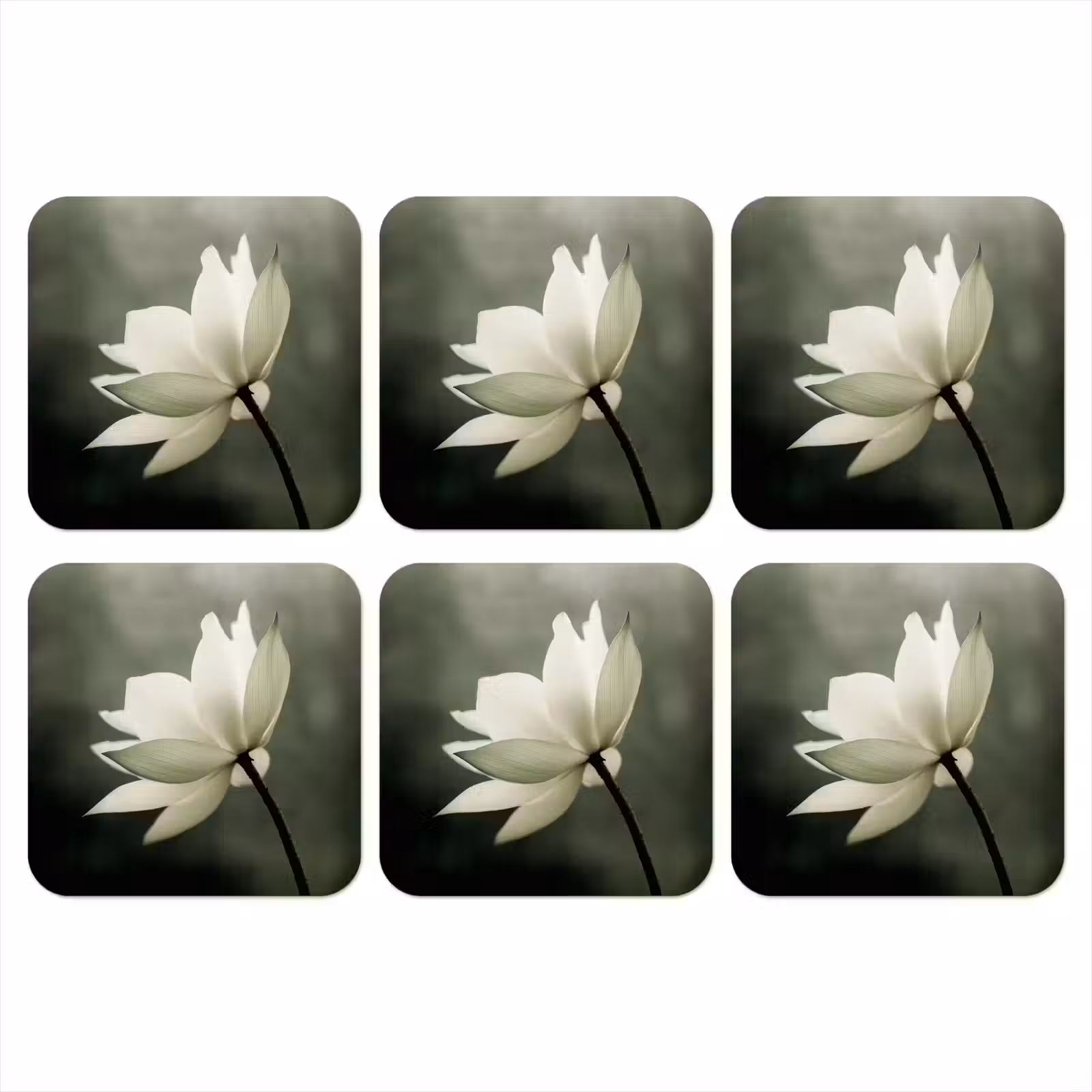 Onderzetter - Wit - Lotus - Donker - Bloem — 1