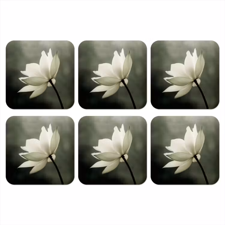Onderzetter - Wit - Lotus - Donker - Bloem — 1