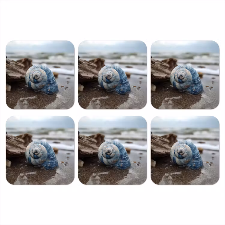 Onderzetter - Schelp - Strand - Blauw - Zee — 1