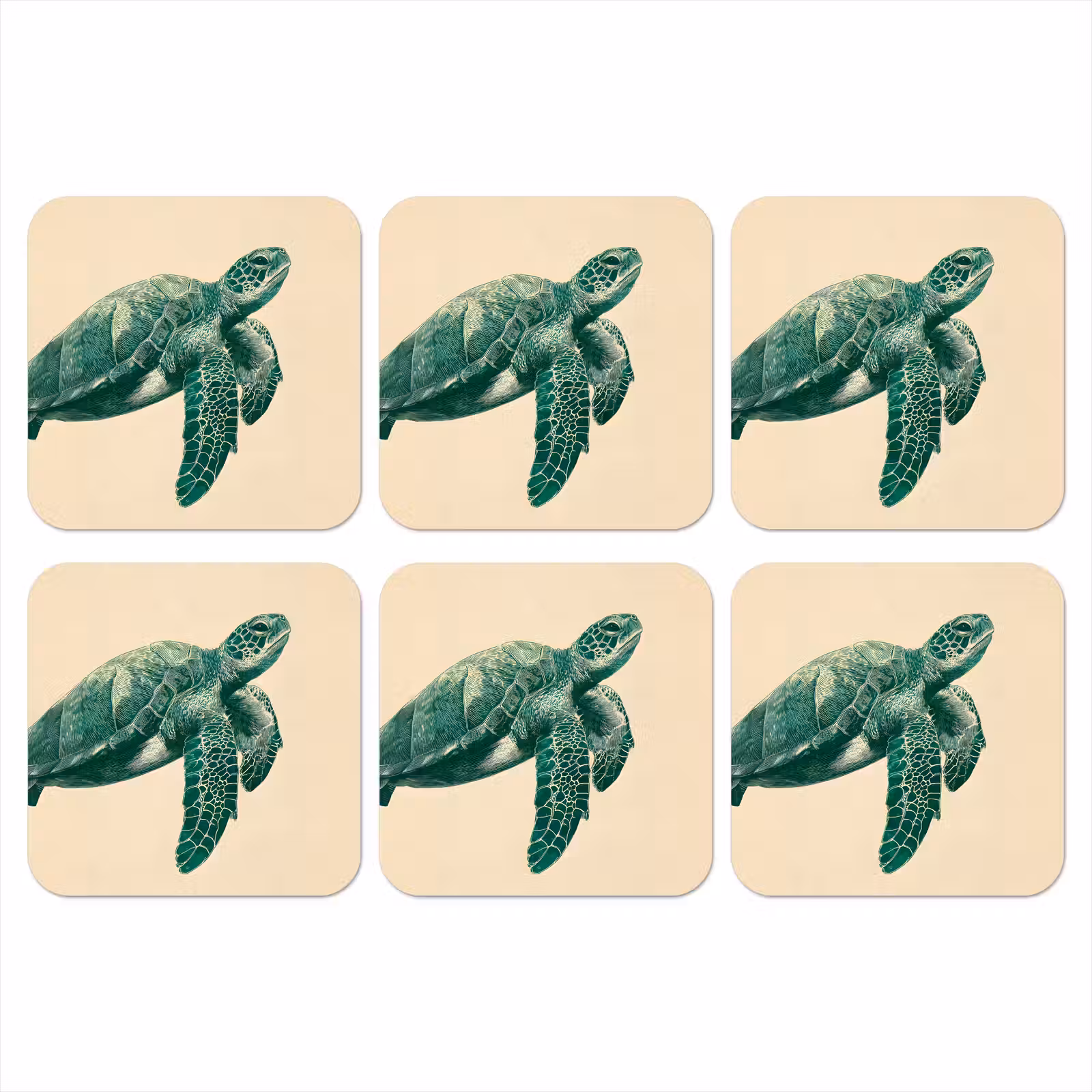 Onderzetter - Schildpad - Sierlijk - Groen - Schild — 1