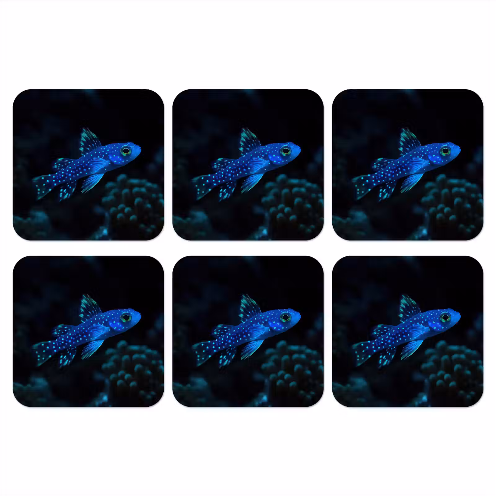 Onderzetter - Vis - Stippen - Koraal - Blauw — 1