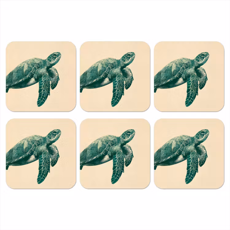 Onderzetter - Schildpad - Sierlijk - Groen - Schild — 1