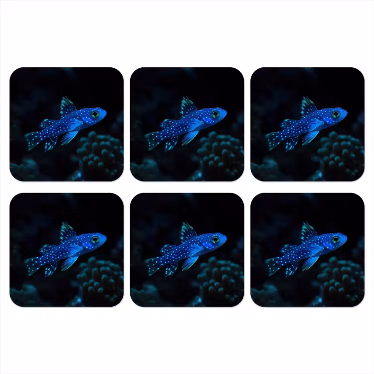 Onderzetter - Vis - Stippen - Koraal - Blauw — 1
