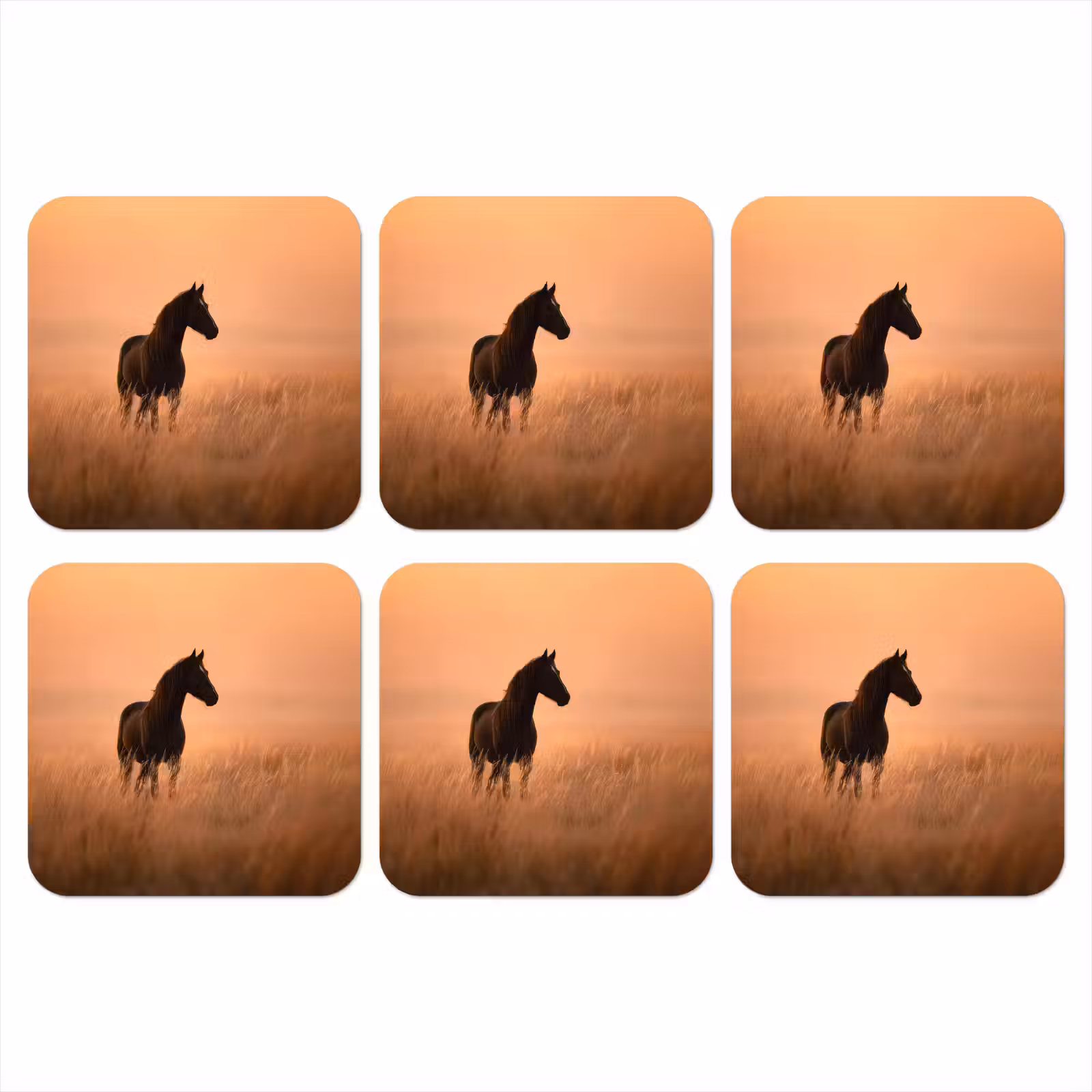 Onderzetter - Paard - Grasveld - Zonsondergang — 1