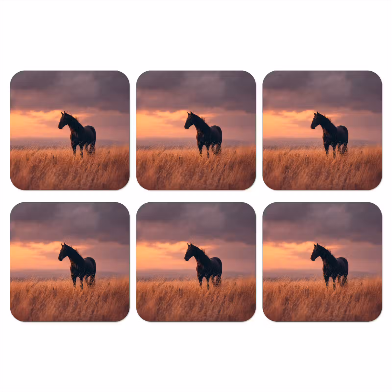Onderzetter - Paard - Wolken - Open veld — 1