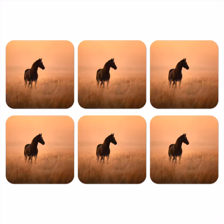 Onderzetter - Paard - Grasveld - Zonsondergang — 1