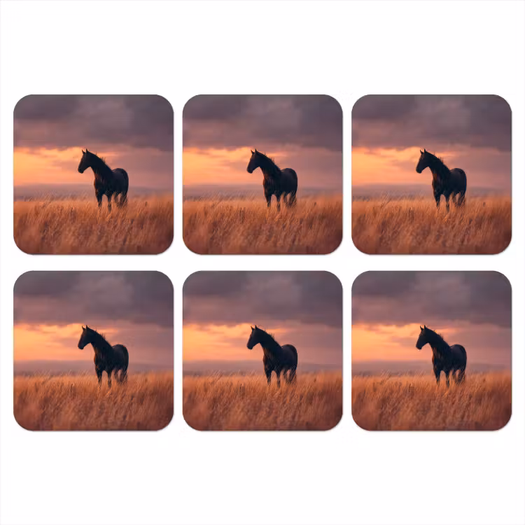 Onderzetter - Paard - Wolken - Open veld — 1