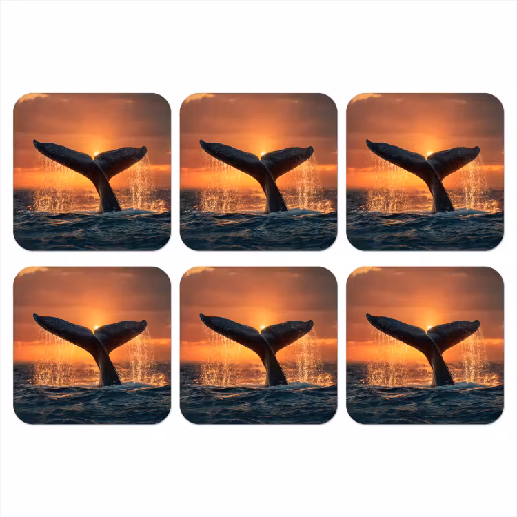 Onderzetter - Walvis staart - Water - Zonsondergang — 1