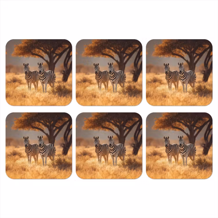 Onderzetter - Zebra's - Savannelandschap - Gras — 1