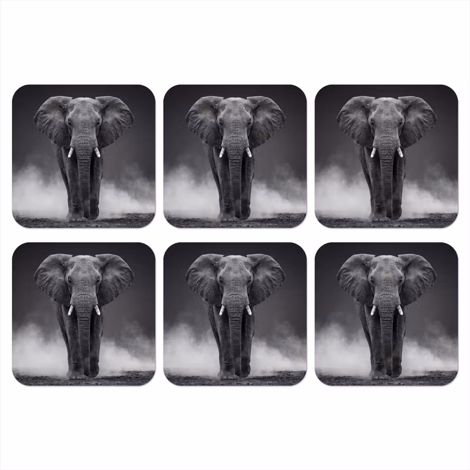 Onderzetter - Olifant - Zwart - Wit - Rook — 1