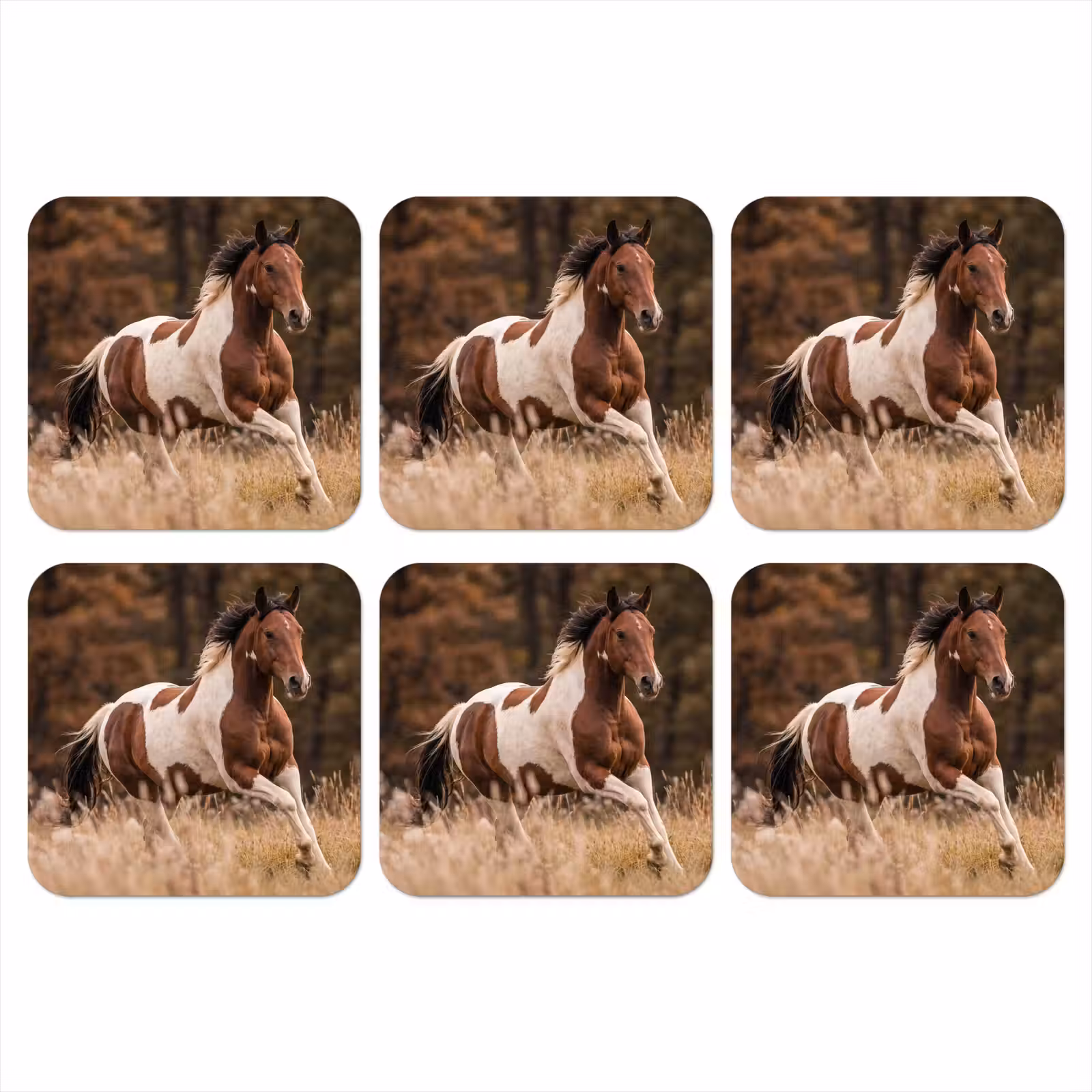 Onderzetter - Paard - Bruin - Gras — 1