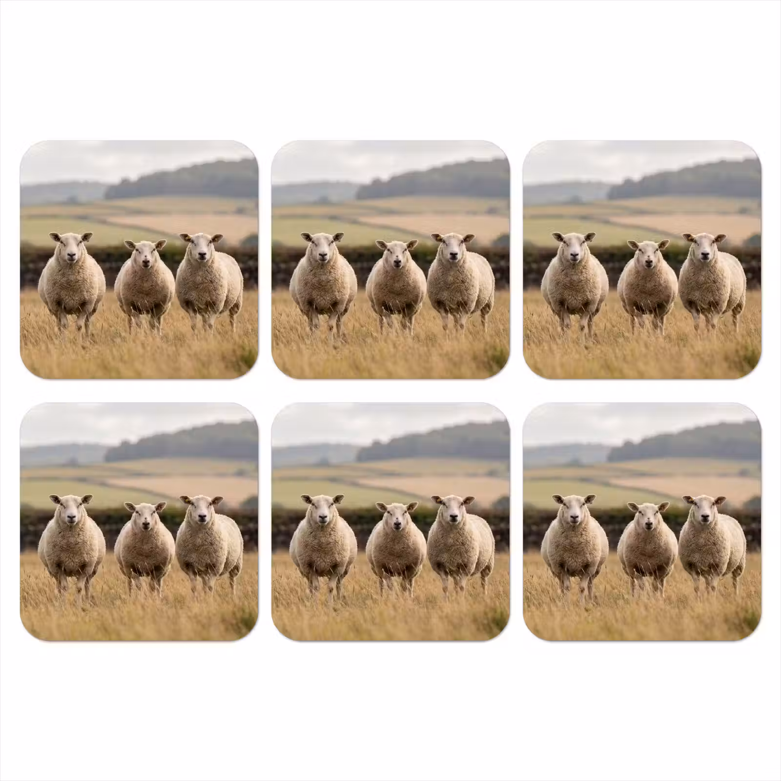 Onderzetter - Schapen - Weidenlandschap - Heuvels — 1