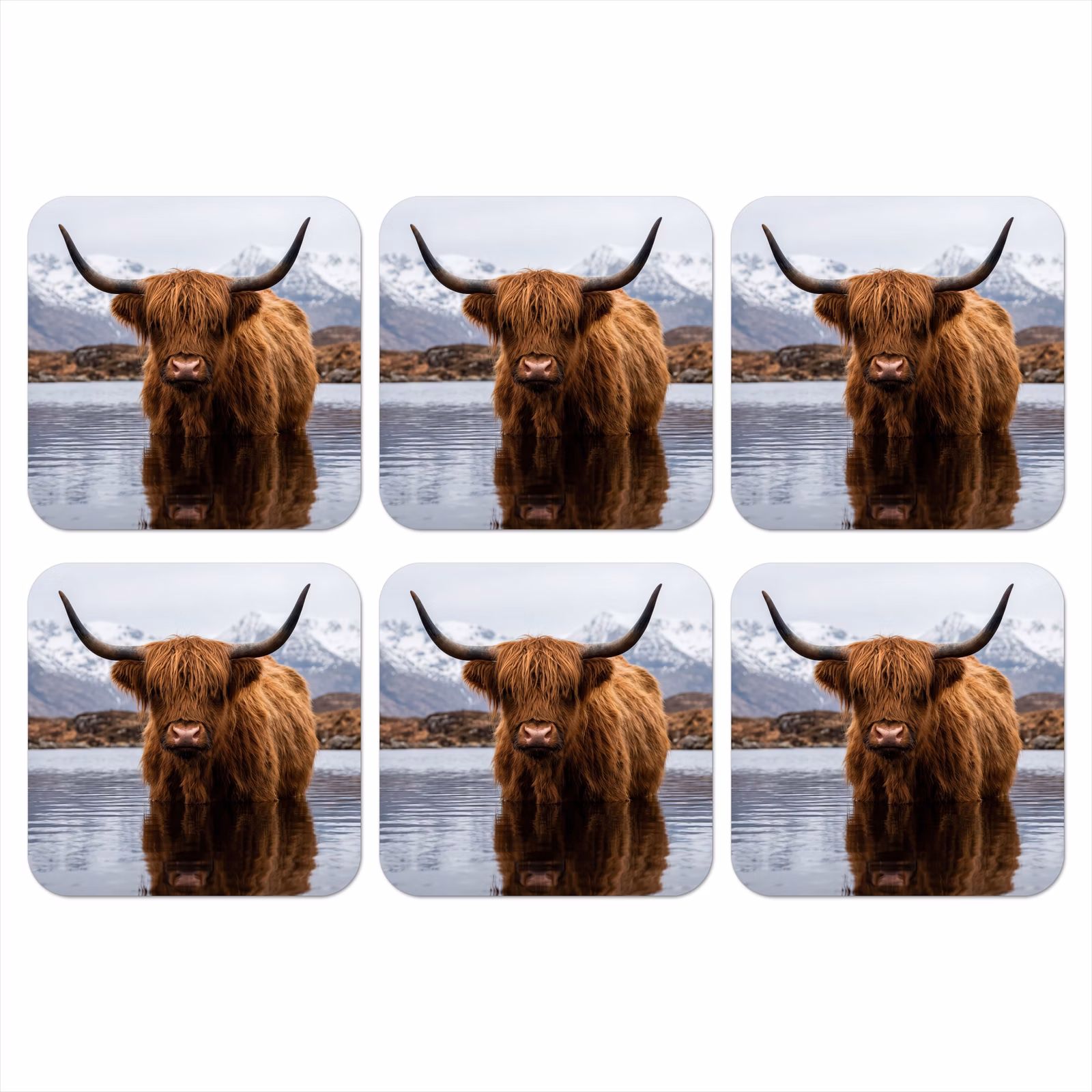 Onderzetter - Schotse hooglander - Bruin - Water — 1