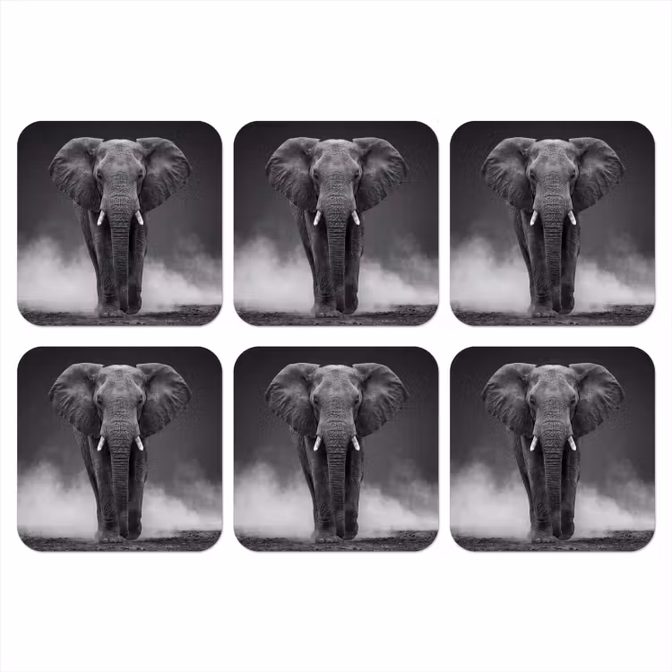 Onderzetter - Olifant - Zwart - Wit - Rook — 1