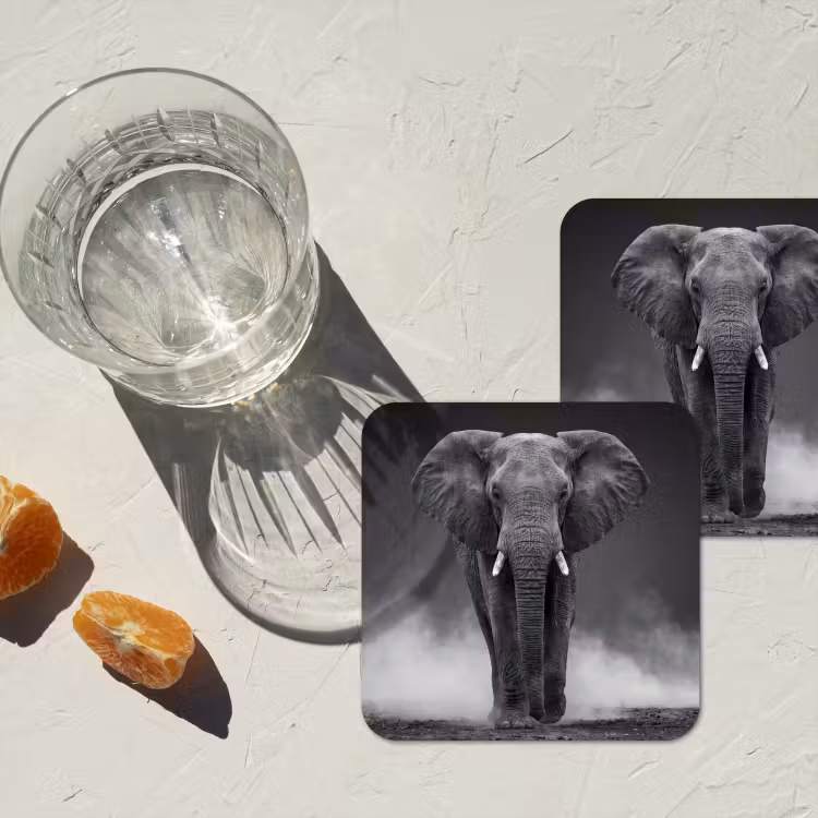 Onderzetter - Olifant - Zwart - Wit - Rook — 3