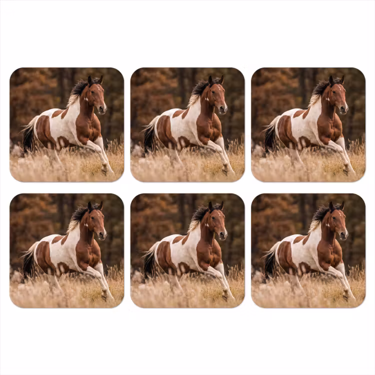 Onderzetter - Paard - Bruin - Gras — 1