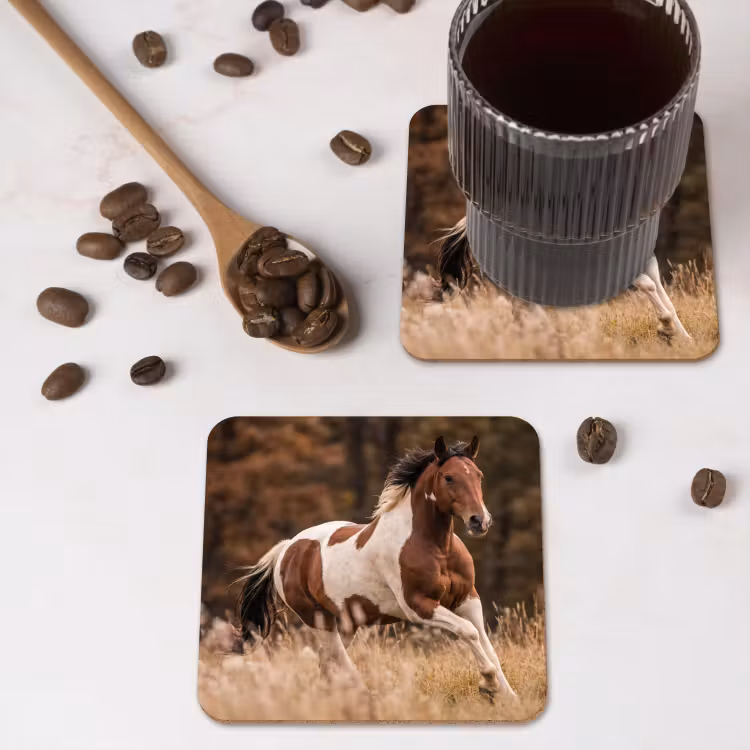 Onderzetter - Paard - Bruin - Gras — 4
