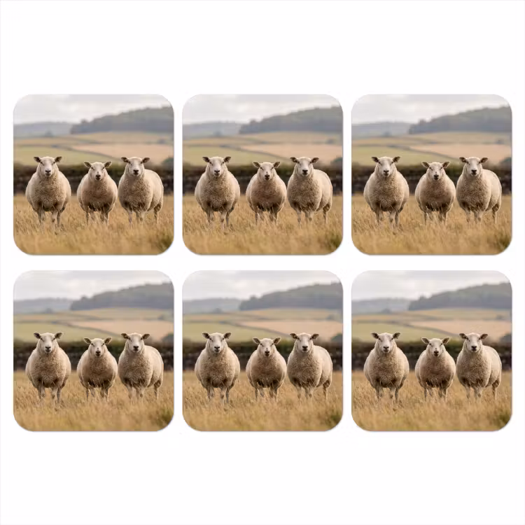 Onderzetter - Schapen - Weidenlandschap - Heuvels — 1