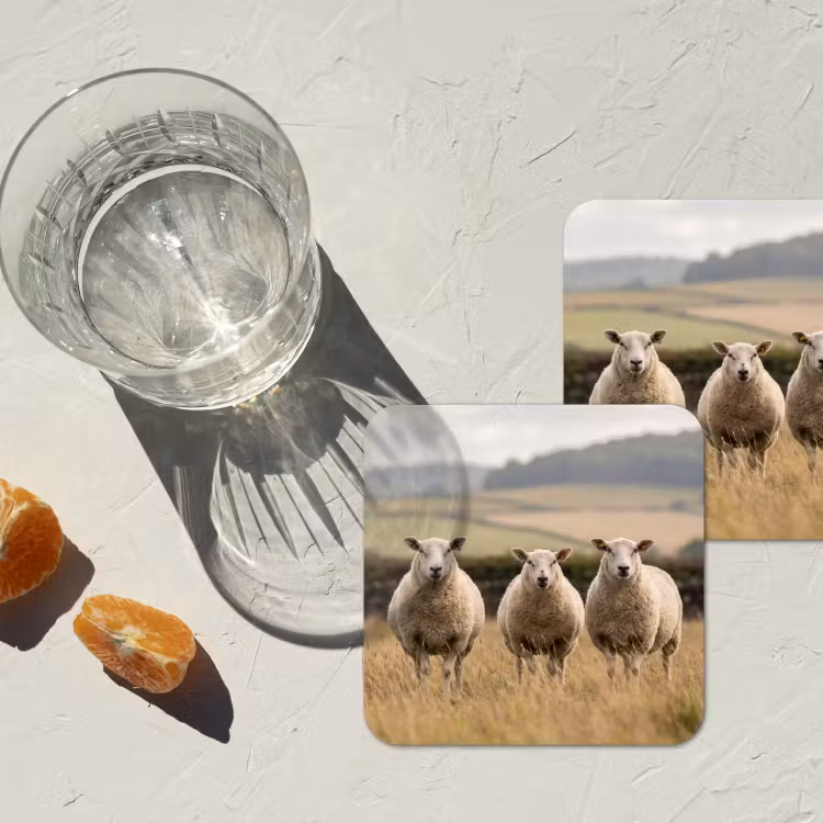 Onderzetter - Schapen - Weidenlandschap - Heuvels — 3