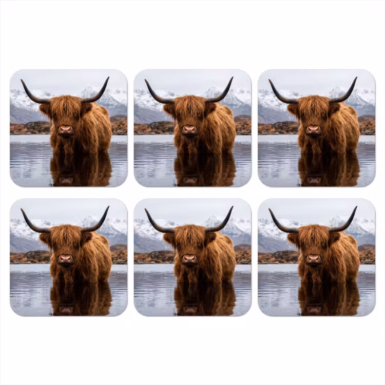 Onderzetter - Schotse hooglander - Bruin - Water — 1