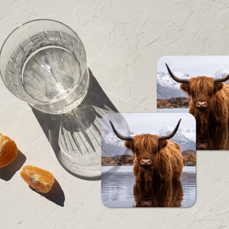 Onderzetter - Schotse hooglander - Bruin - Water — 3
