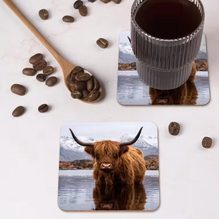 Onderzetter - Schotse hooglander - Bruin - Water — 4