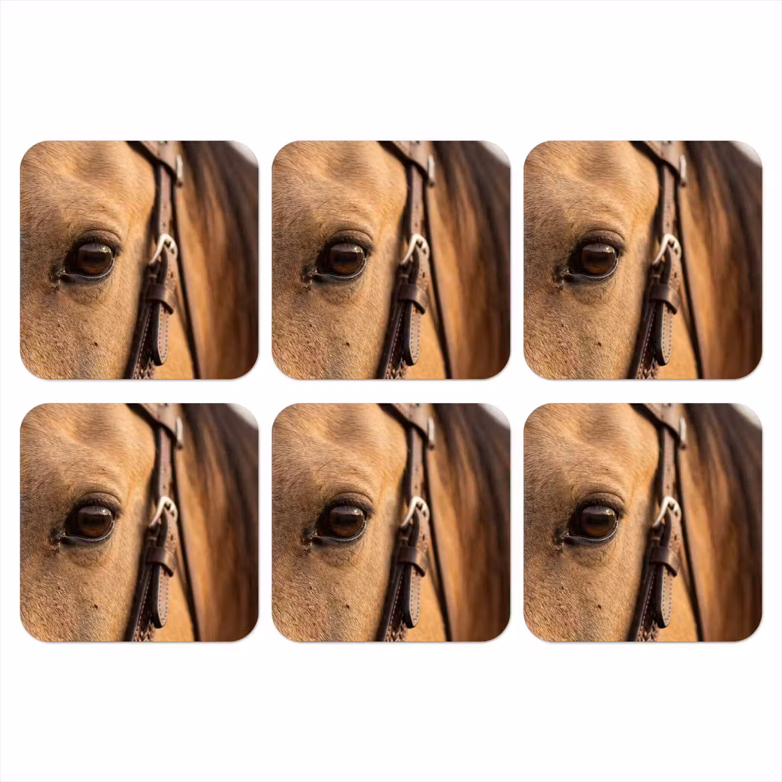 Onderzetter - Paard - Oog - Bruin — 1
