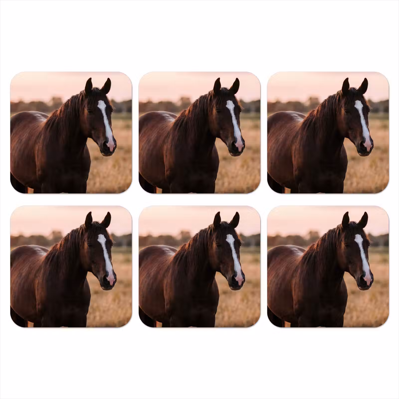 Onderzetter - Paard - Zonsondergang - Bruin — 1