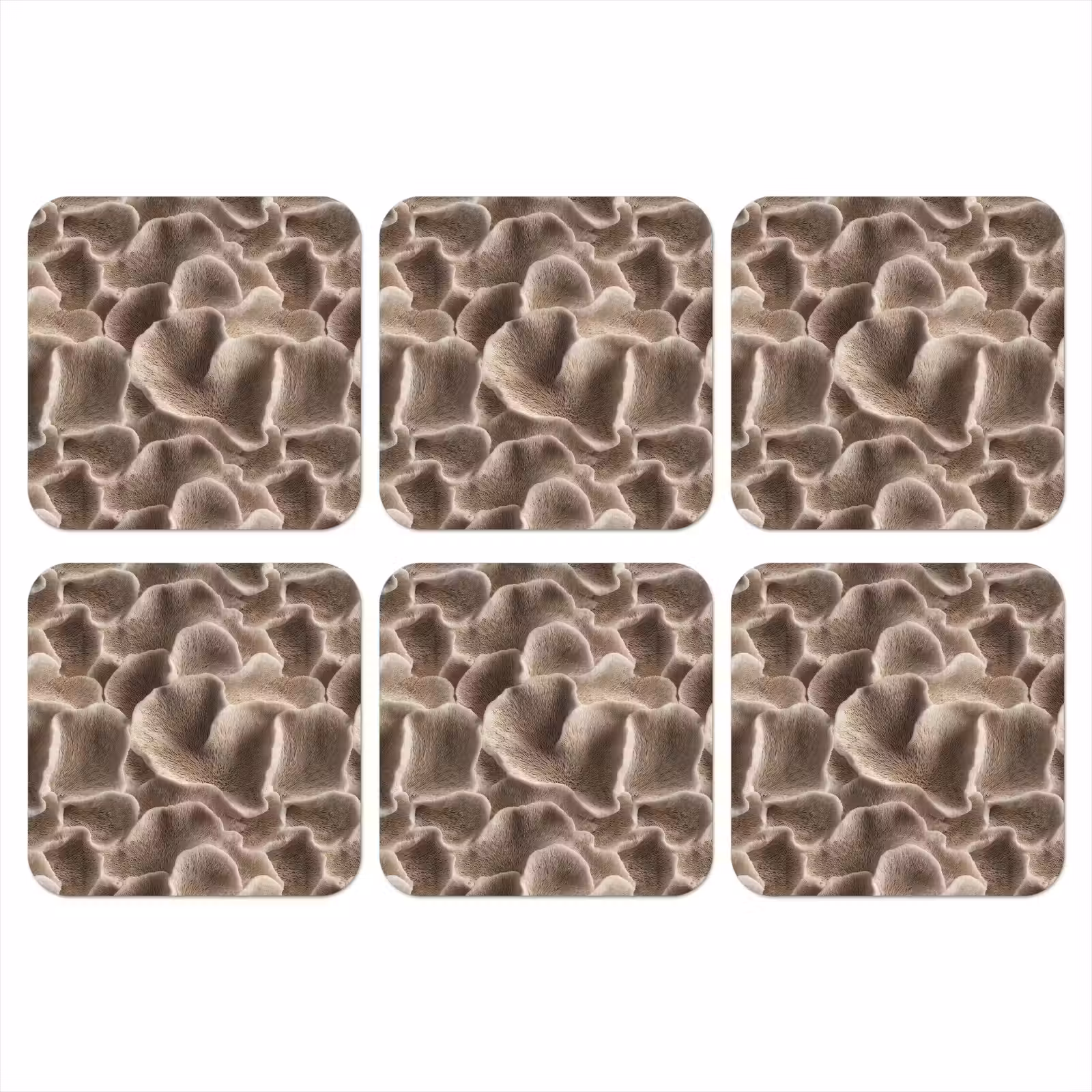 Onderzetter - Waaiervorm - Beige - Vezel textuur — 1