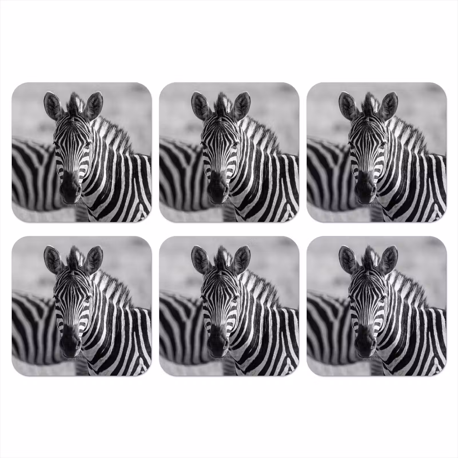 Onderzetter - Zebra's - Zwart - Wit — 1