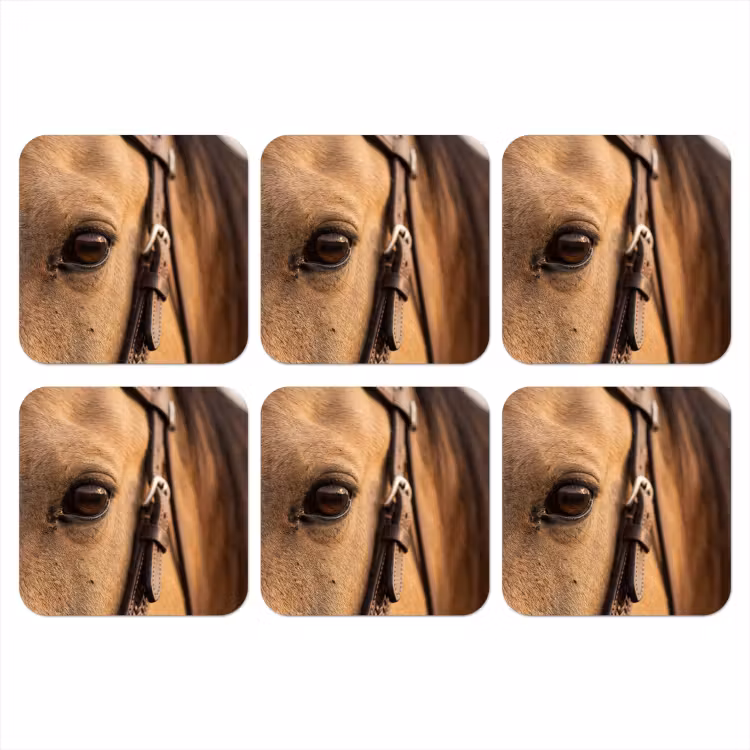 Onderzetter - Paard - Oog - Bruin — 1
