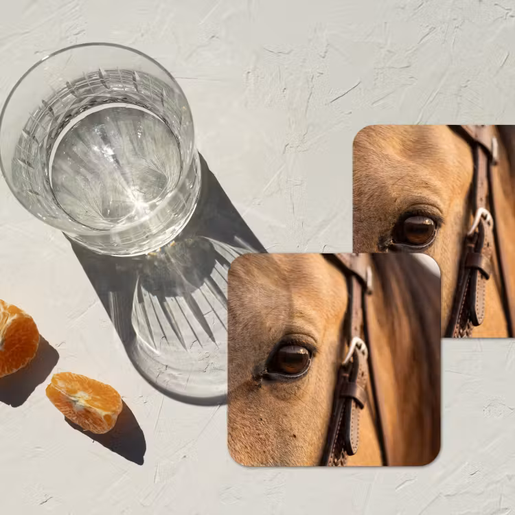 Onderzetter - Paard - Oog - Bruin — 3