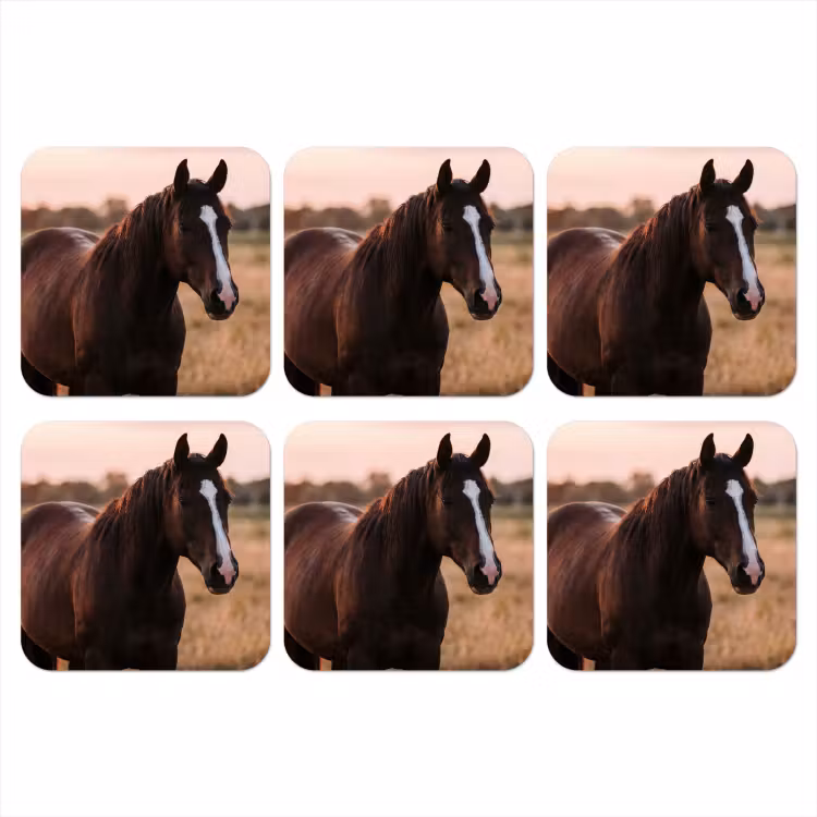 Onderzetter - Paard - Zonsondergang - Bruin — 1