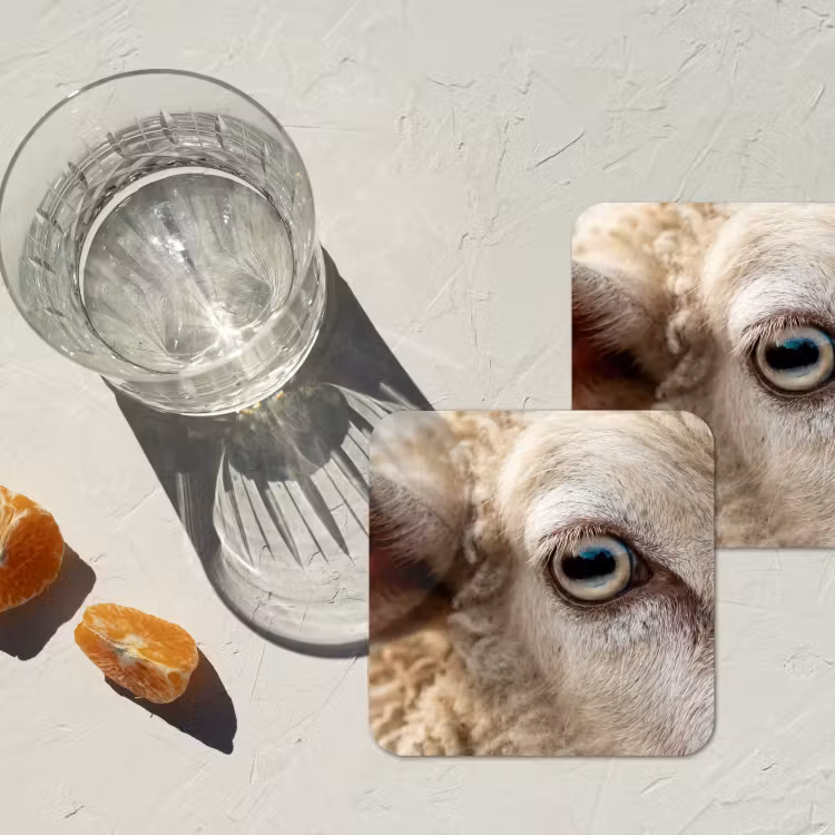Onderzetter - Schaap - Oog - Wit — 3