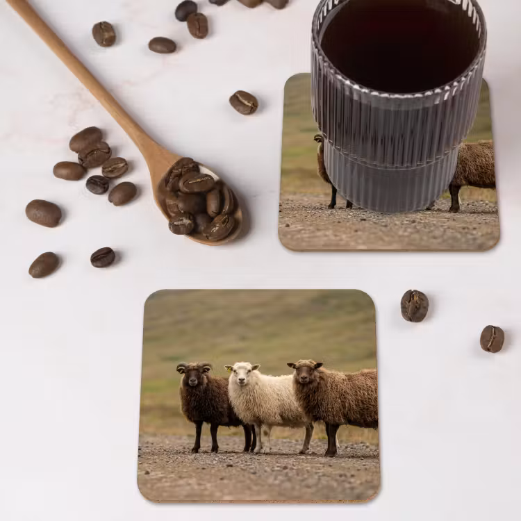 Onderzetter - Schapen - Bruin - Wit - Grindpad — 4