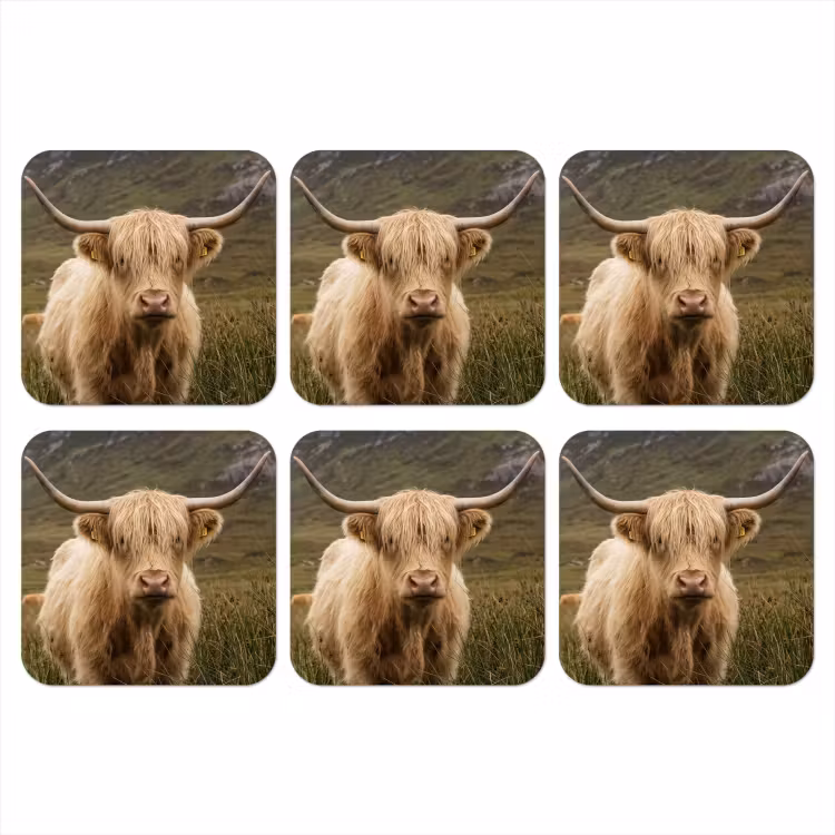 Onderzetter - Schotse hooglander - Bergen - Grasveld — 1