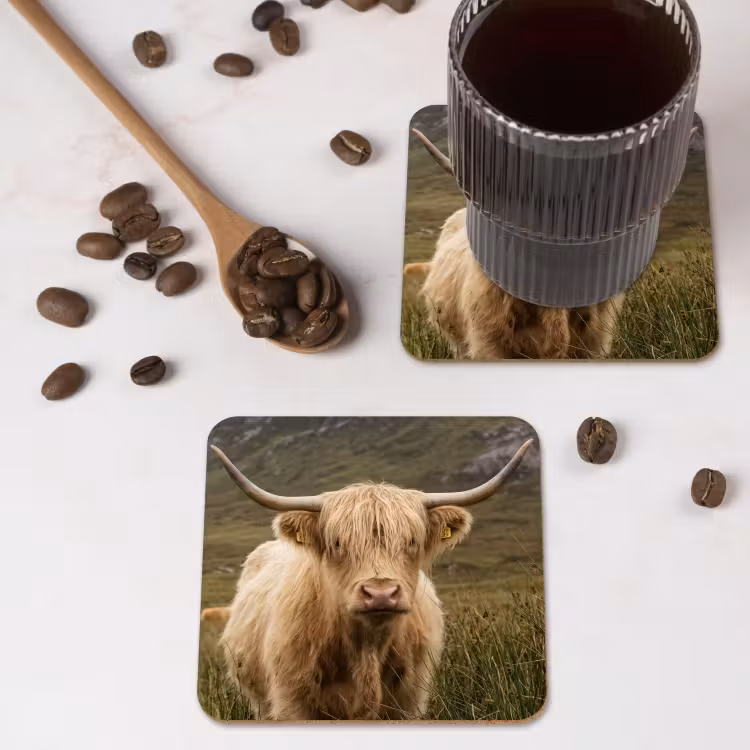 Onderzetter - Schotse hooglander - Bergen - Grasveld — 4