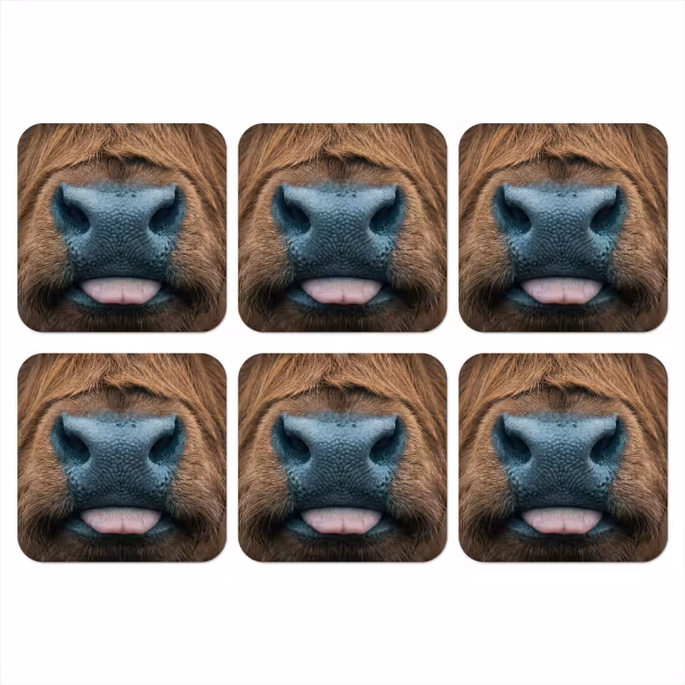 Onderzetter - Schotse hooglander - Neus - Bruin — 1