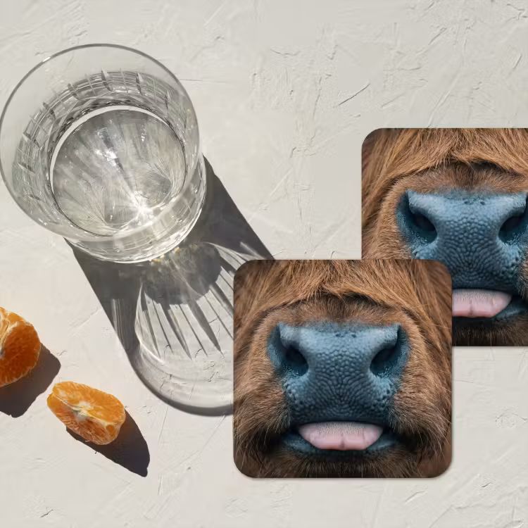Onderzetter - Schotse hooglander - Neus - Bruin — 3